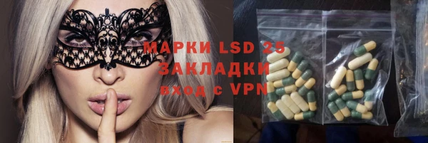 apvp Алзамай