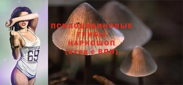дурь Абаза