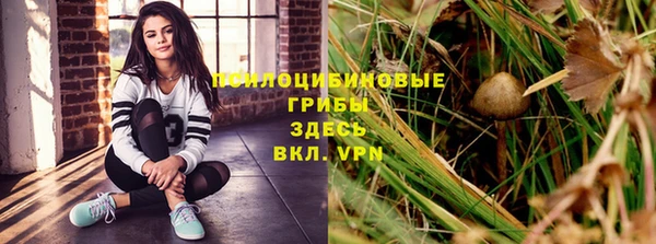 гашик Нефтекумск